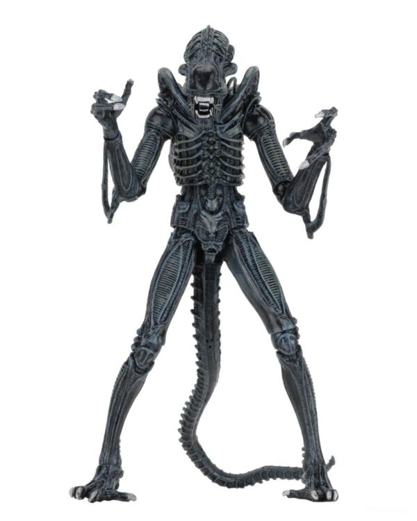 Xenomorph ORIGINAL NECA 
Aliens Ultimate
Tamaño:17.78cm