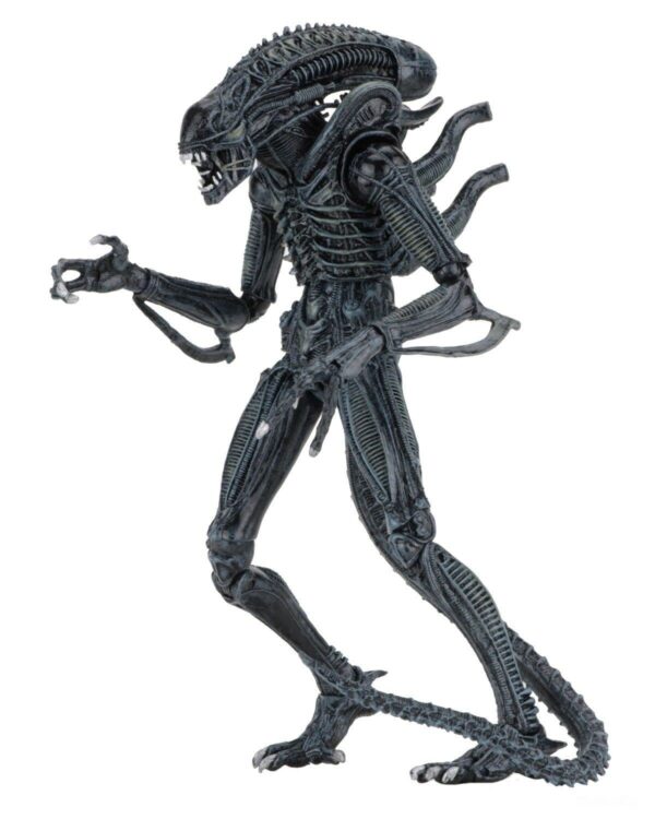 Xenomorph ORIGINAL NECA 
Aliens Ultimate
Tamaño:17.78cm