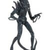 Xenomorph ORIGINAL NECA 
Aliens Ultimate
Tamaño:17.78cm