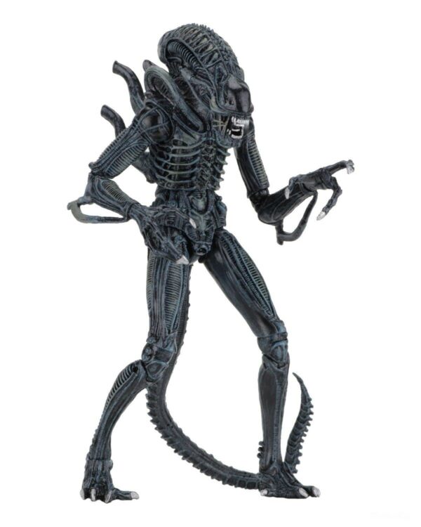 Xenomorph ORIGINAL NECA 
Aliens Ultimate
Tamaño:17.78cm