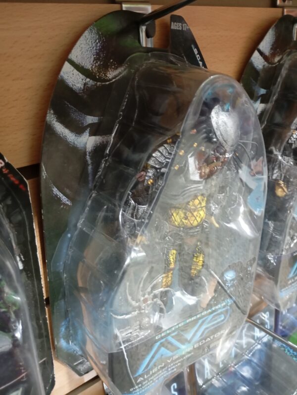 Celtic Predator
Alien VS Predador AVP
Tamaño:20cm