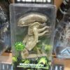 alien Xenomorph
Translucent Prototype Suit
Tamaño:18cm