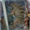 GODZILLA
KING OF THE MONSTERS
Tamaño:17cm