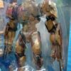 Valor Omega
PACIFIC Rim Uprising
Tamaño:19cm