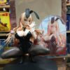 Baniga -chan - Bunny -Sauce
Sauce de conejito 220
Tamaño:17cm