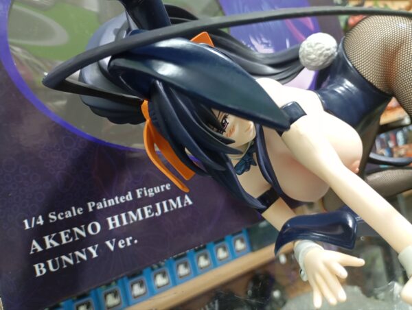 Akeno Conejita sexy 470
High School DxD 32 cm largo
