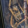 alien 3 dog alien 
aliens ultimate edition 310