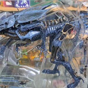 Reina Alien neca original
Alien VS Depredator
Tamaño 38.1cm de altura