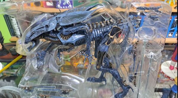 Reina Alien neca original
Alien VS Depredator
Tamaño 38.1cm de altura