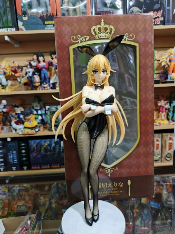 Erina Nakira conejito 325
Tamaño:43