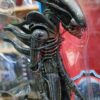 Alien
The alien Bloody