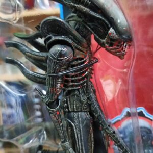 Alien
The alien Bloody
