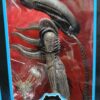Alien Giger
Alien 40 aniversario