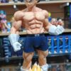 Vegeta ssj 175
Cabeza intercambiables 
Tamaño:28cm