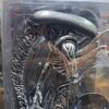 alien AVP 
Warrior alien