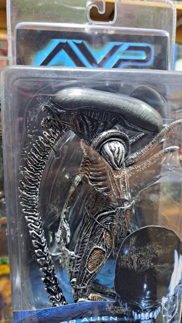 alien AVP 
Warrior alien