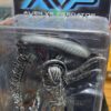 alien AVP 
Warrior alien