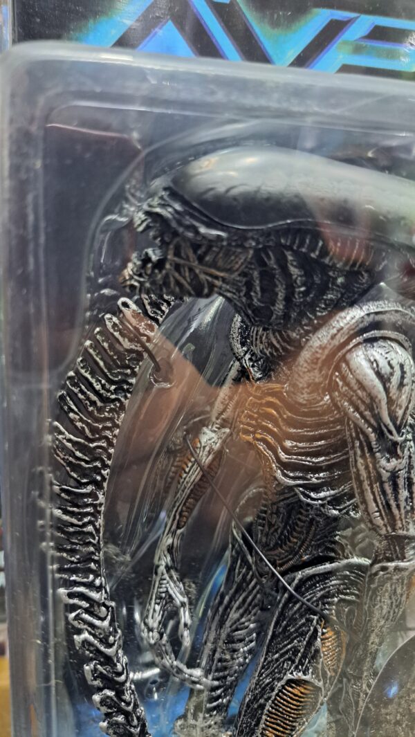 alien AVP 
Warrior alien