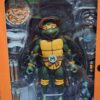 las tortugas ninjas 
Miguel Angel- Donatello- Raphael- leonardo 264-