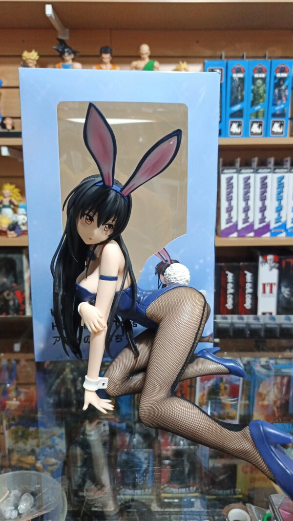 Kasumi gaoka Bunny 257/12.5
To LOVE Ru
Tamaño:24cm