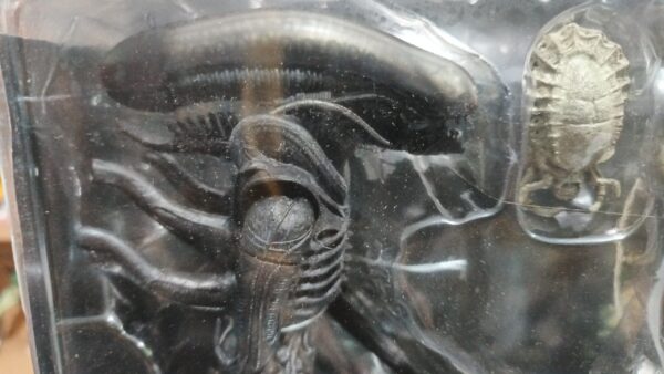 Aliens VS depredador 450/12.5
con sus casco 🪖 de guerra