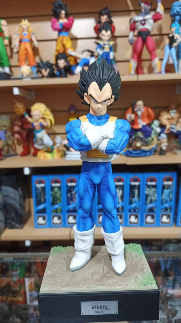 Vegeta cabeza intercambiables 160
Dragón Ball Z 
Tamaño:28,5