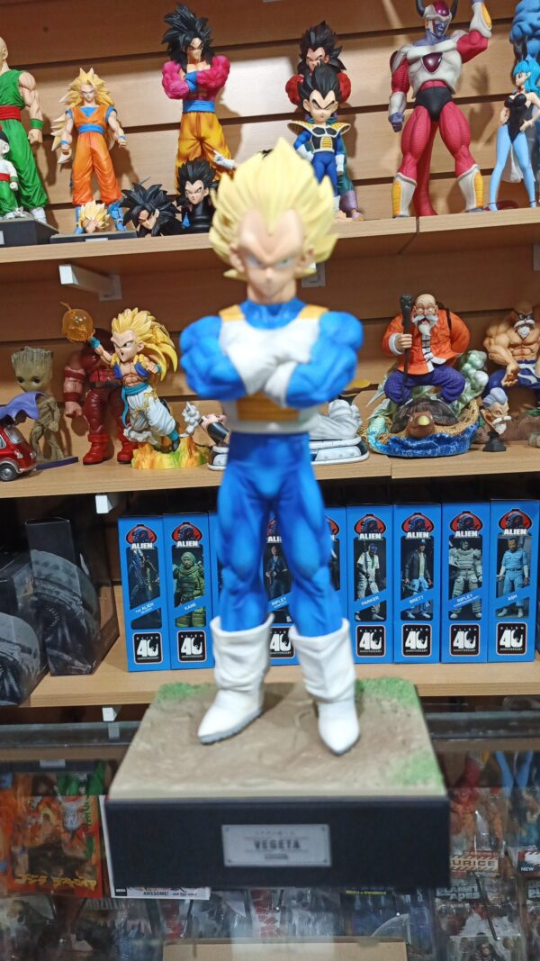 Vegeta cabeza intercambiables 160
Dragón Ball Z 
Tamaño:28,5
