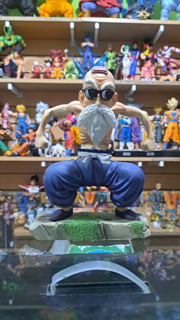 maestro roshi 18 cm altura