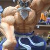 Maestro Roshi 25 cm altura