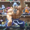 Maestro Roshi 25 cm altura