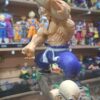 Maestro Roshi 25 cm altura
