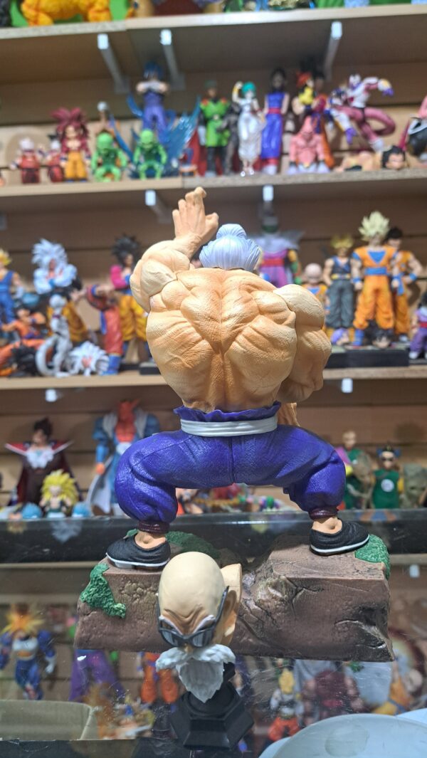 Maestro Roshi 25 cm altura