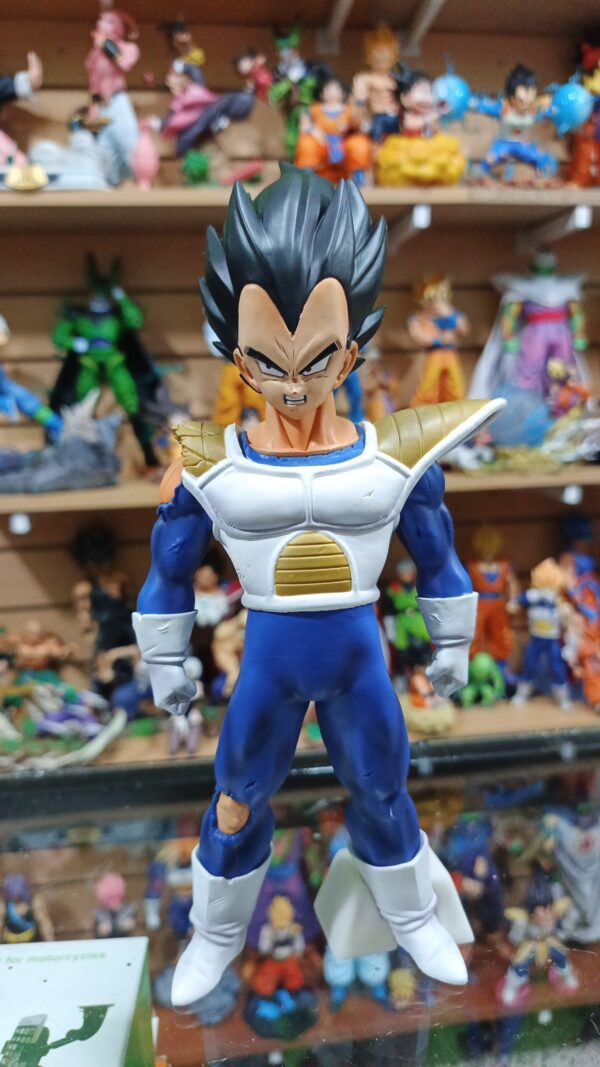 Vegeta hombros rotos 
Dragón Ball Z 
Tamaño:25cm