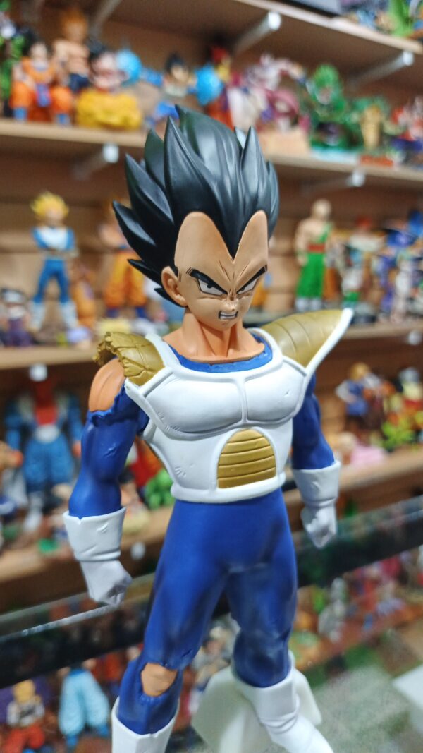 Vegeta hombros rotos 
Dragón Ball Z 
Tamaño:25cm