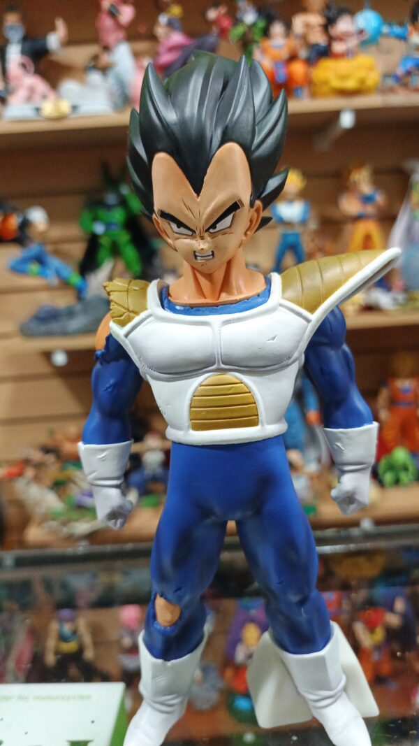 Vegeta hombros rotos 
Dragón Ball Z 
Tamaño:25cm