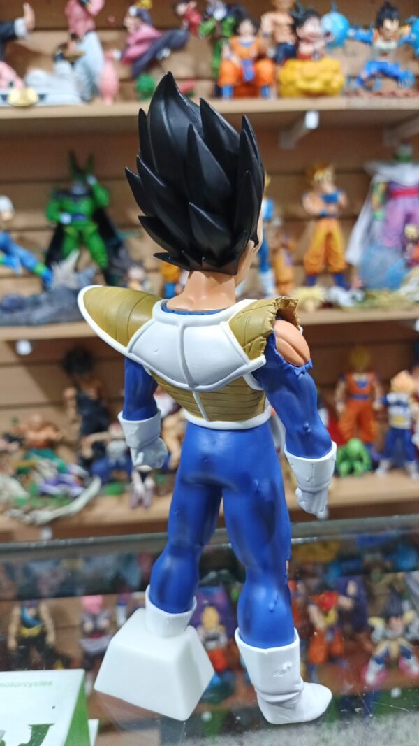 Vegeta hombros rotos 
Dragón Ball Z 
Tamaño:25cm