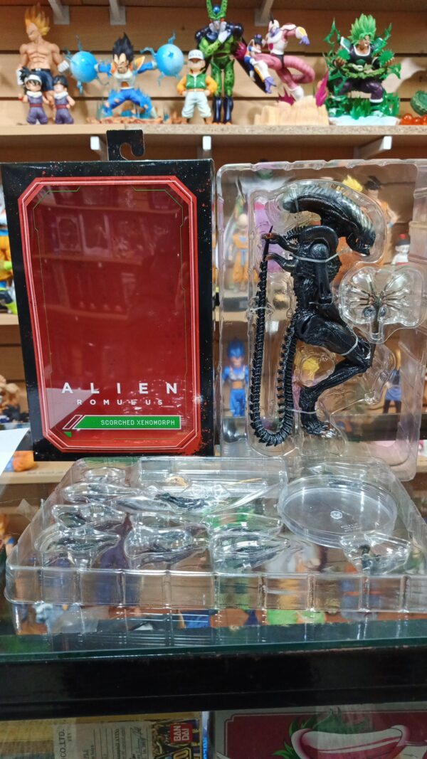Alien Romulus
Aliens
Original
Tamaño: desconocido