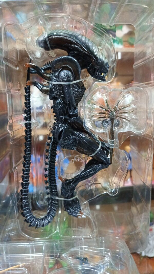 Alien Romulus
Aliens
Original
Tamaño: desconocido