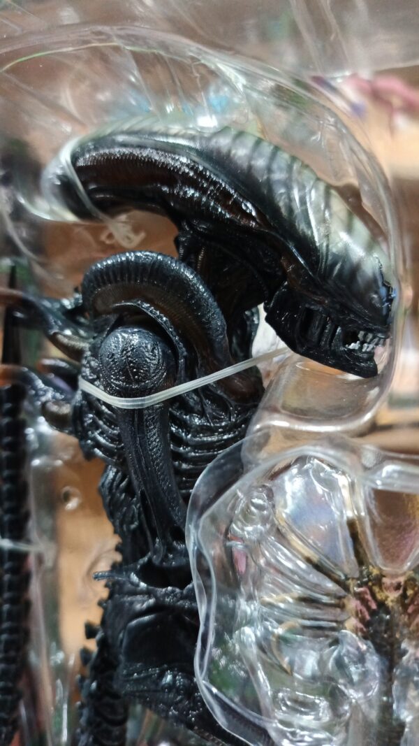 Alien Romulus
Aliens
Original
Tamaño: desconocido