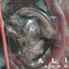 Aliens
Romulus
Tamaño:15cm
bootgle