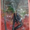 Aliens
Aliens
Romulus 
bootgle