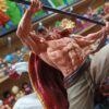 Shirohige
One Piece
Tamaño:41cm