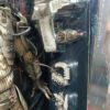 Predator jungler Hunter
original 
Tamaño: 1/6