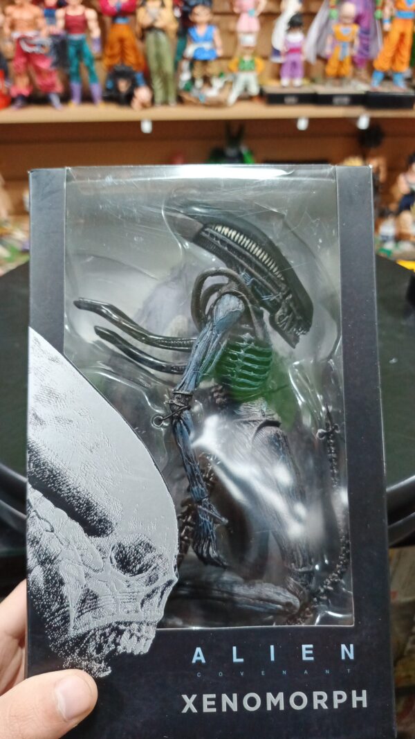 Xenimorph
Alien
Tamaño:27cm