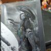 Xenimorph
Alien
Tamaño:27cm