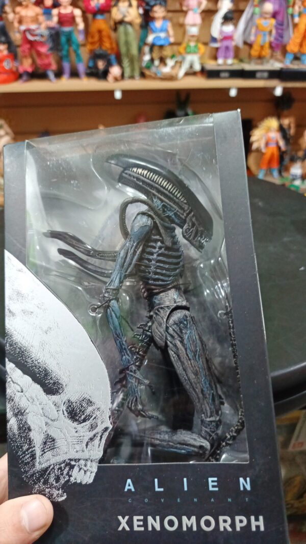 Xenimorph
Alien
Tamaño:27cm