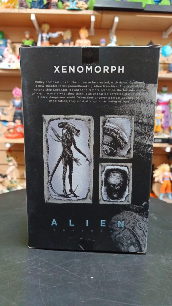 Xenimorph
Alien
Tamaño:27cm