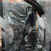 Xenimorph
Alien
Tamaño:27cm