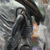 Xenimorph
Alien
Tamaño:27cm