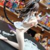 Waifus
Figura
Tamaño:19cm
CopaD